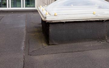 disadvantages of Tollard Royal flat roofs