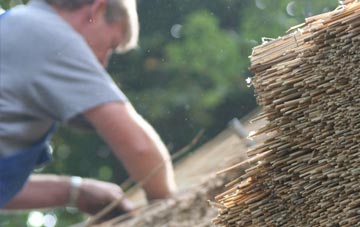 professional Tollard Royal thatchers